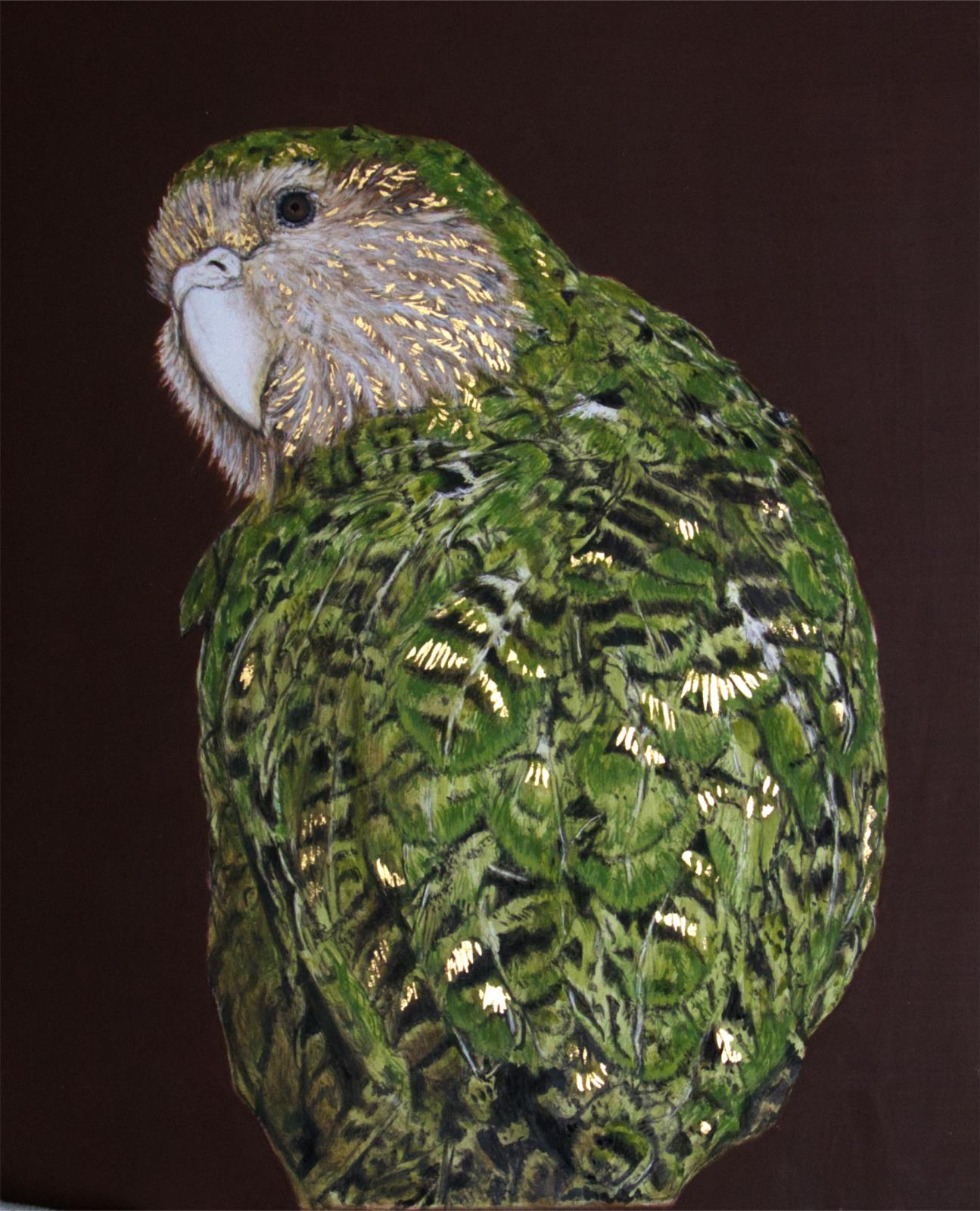 Kakapo, Critically Endangered
